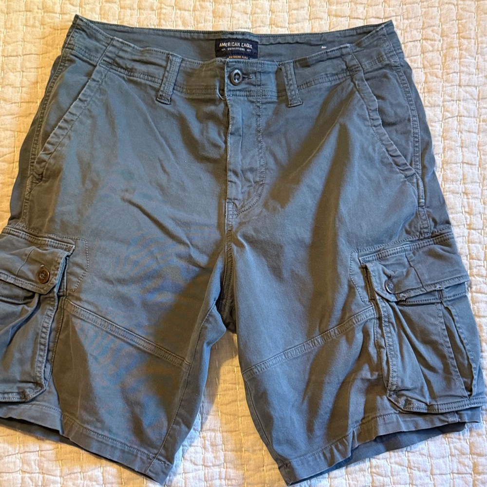 American Eagle Outfitters Men's Muted Blue Cargo Shorts